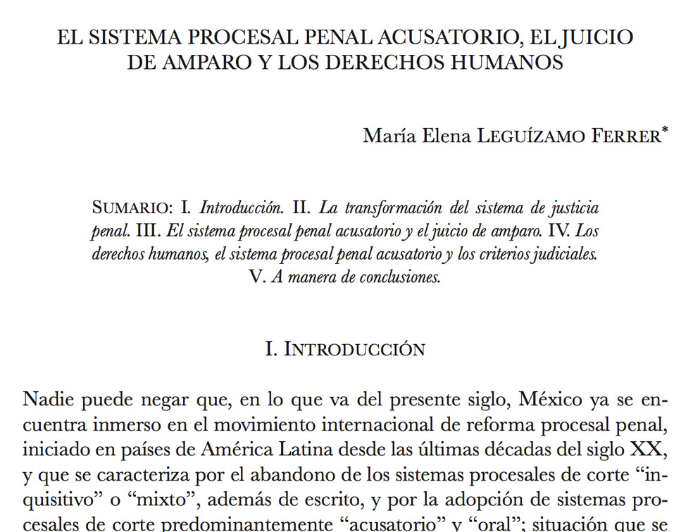 El Sistema Procesal Penal Acusatorio, el Juicio de Amparo y los Derechos Humanos